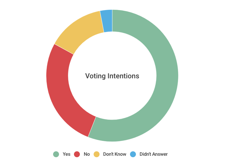 As Ireland Prepares For a Close Vote on Abortion Rights, Here Are All ...