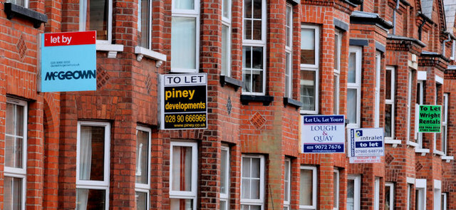 Homes to let signs to illustrate the homeless crisis facing private renters 