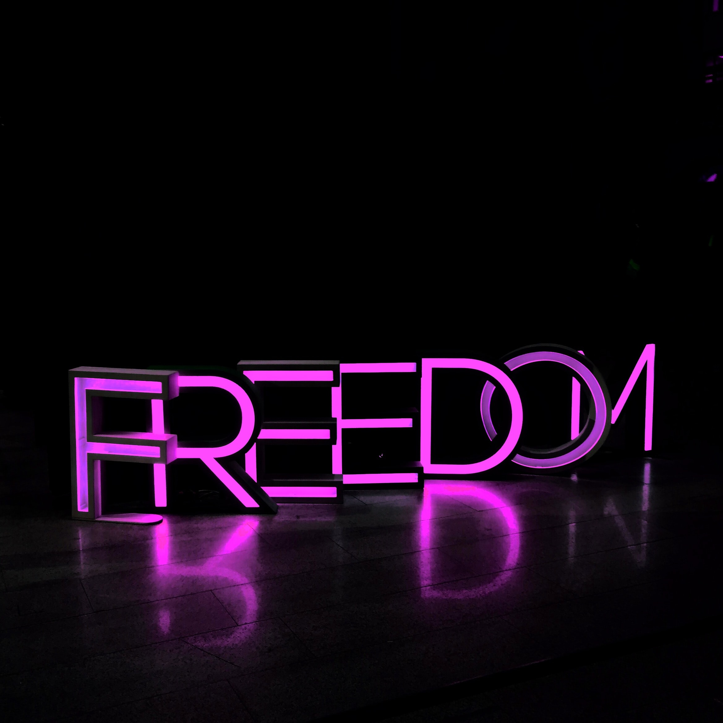 A capitalised sign lights up in neon pink/purple, spelling out the word FREEDOM.