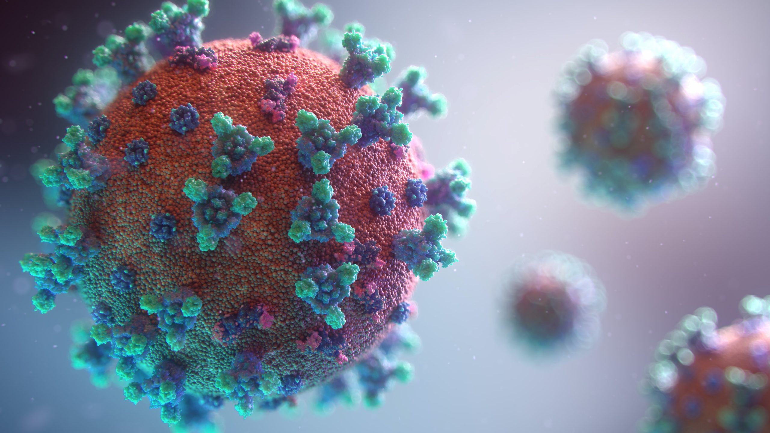 A digital illustration shows a rendering of what the Covid virus strain looks like: a pink spherical ball with blue spikes growing off of it