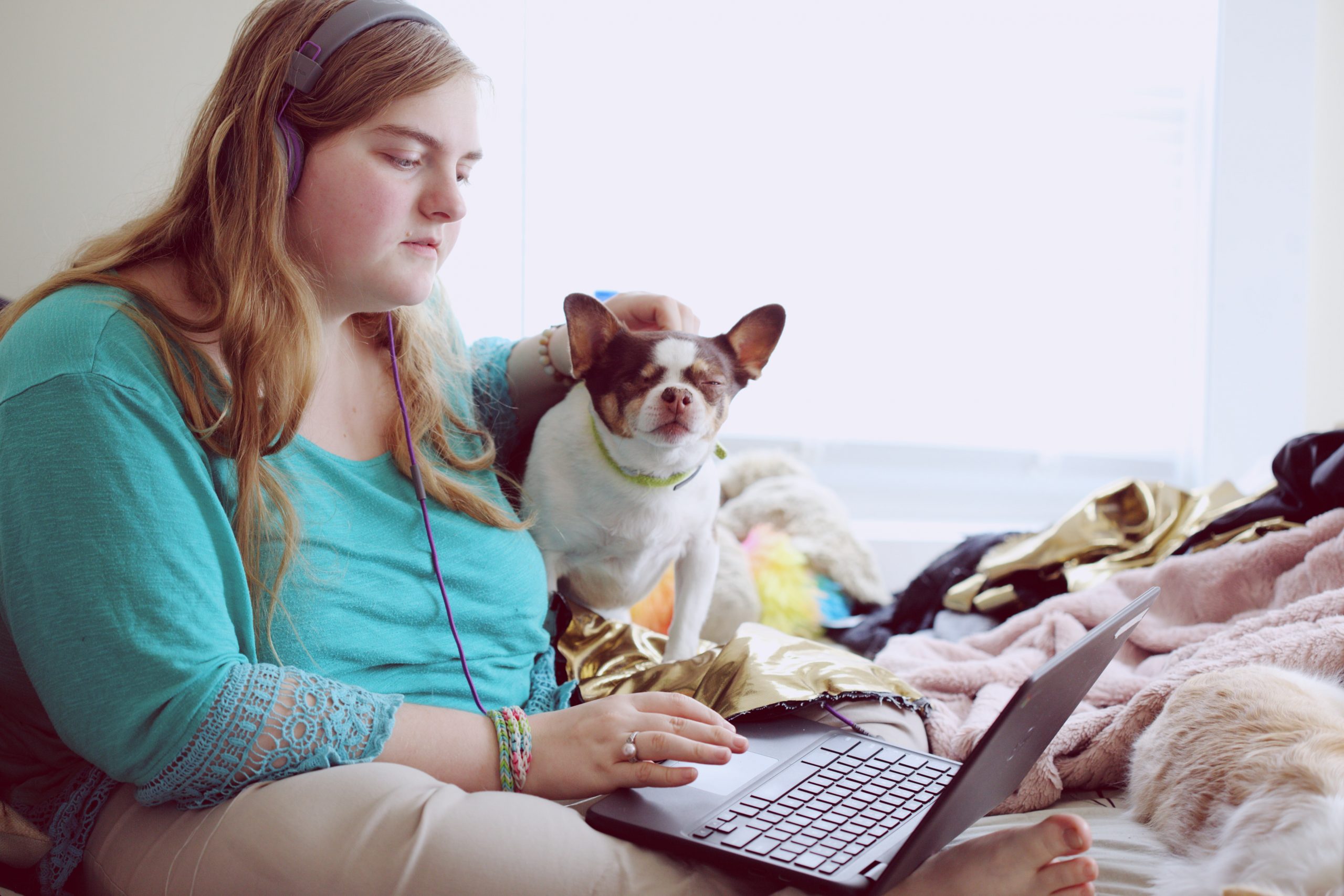 A young white disabled woman with light hair sits on her bed working on a laptop. A small brown and white dog sits next to her, it's an emotional support animal.