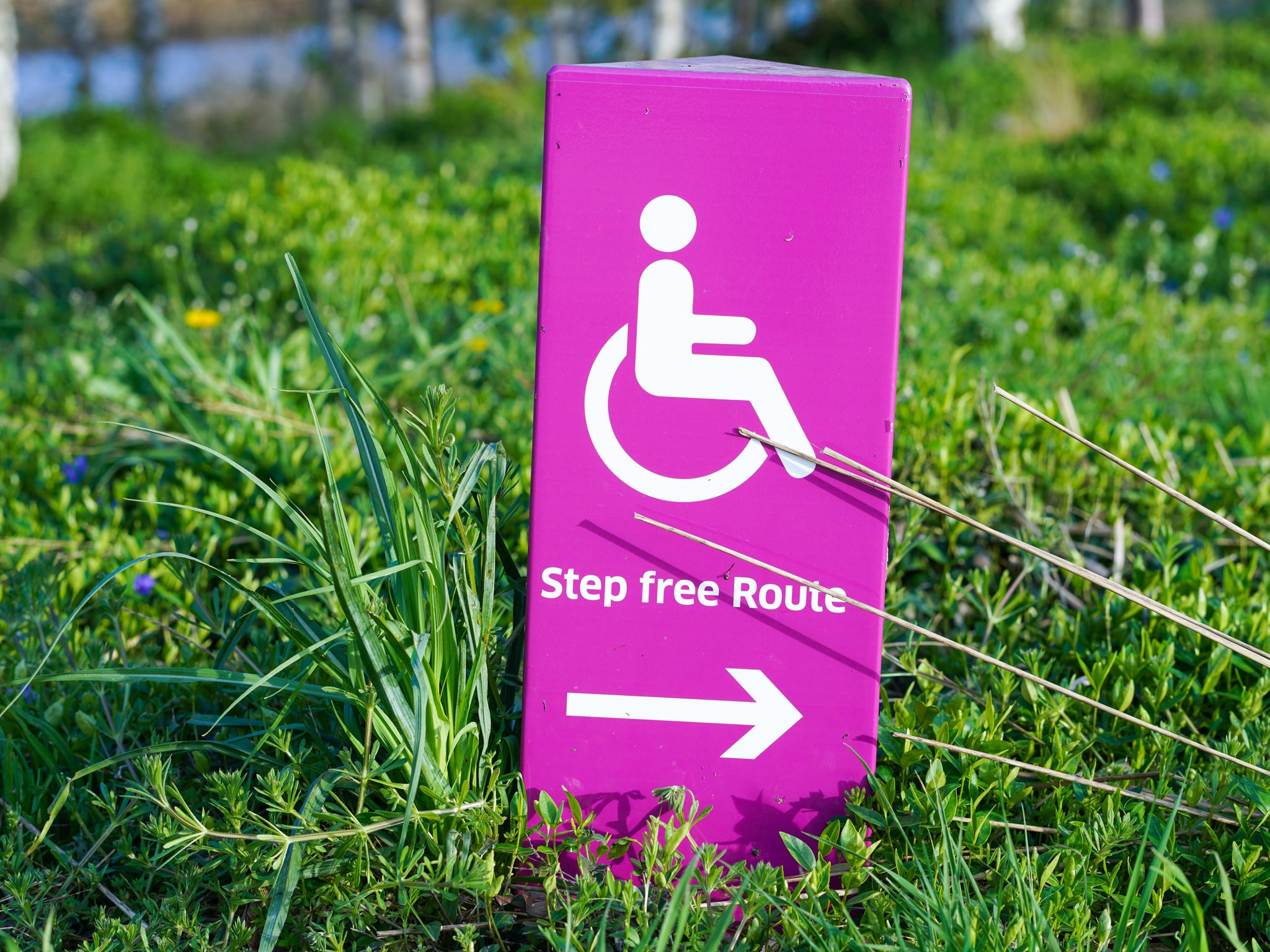 A pink sign with the disability symbol pointing towards a "step free zone" sits on some grass.
