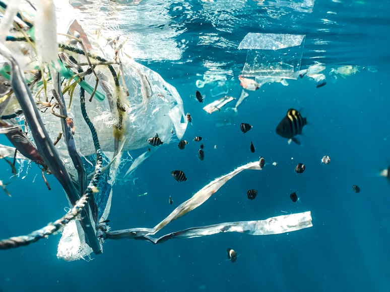 Fish swim through an ocean littered with plastic and other human detritus
