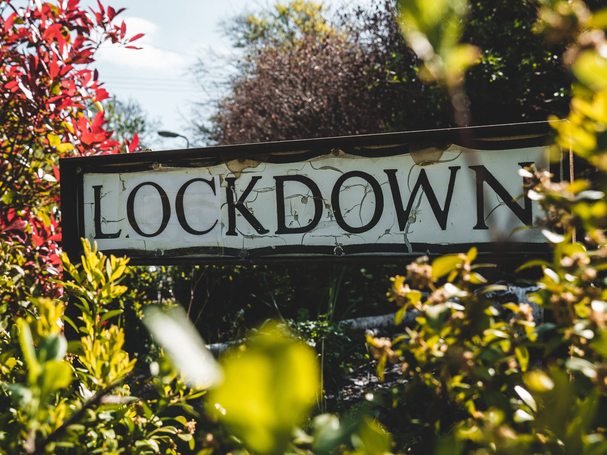 A British street sign sits nestled amongst some shrubbery. The sign reads "lockdown"