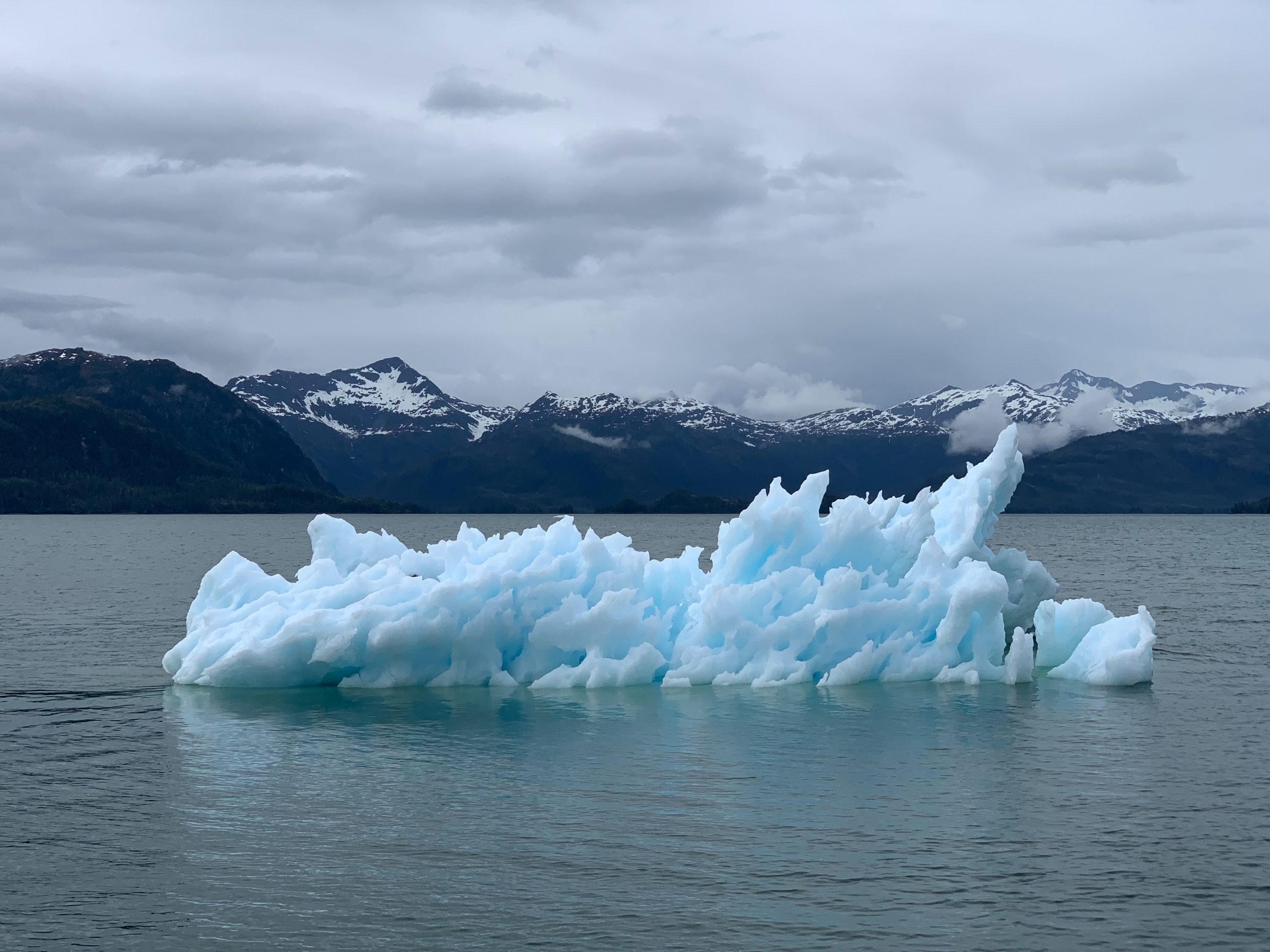 A small, melted glacier sits in the water against a grey sky. 