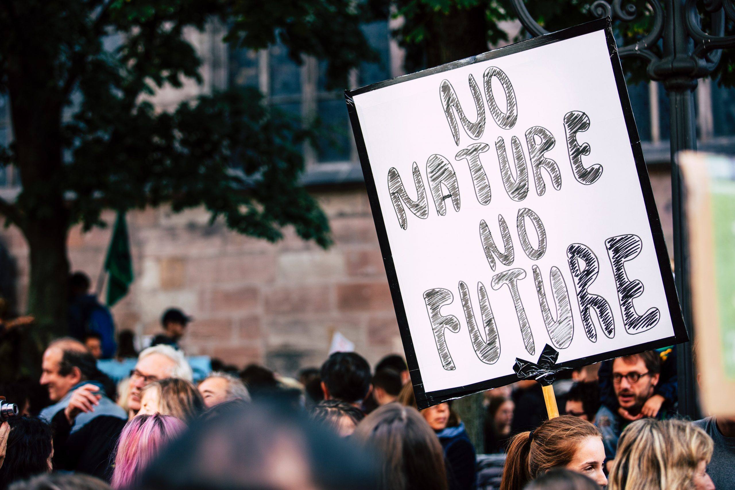 A sign held above a crowd of protestors reads "no nature no future"