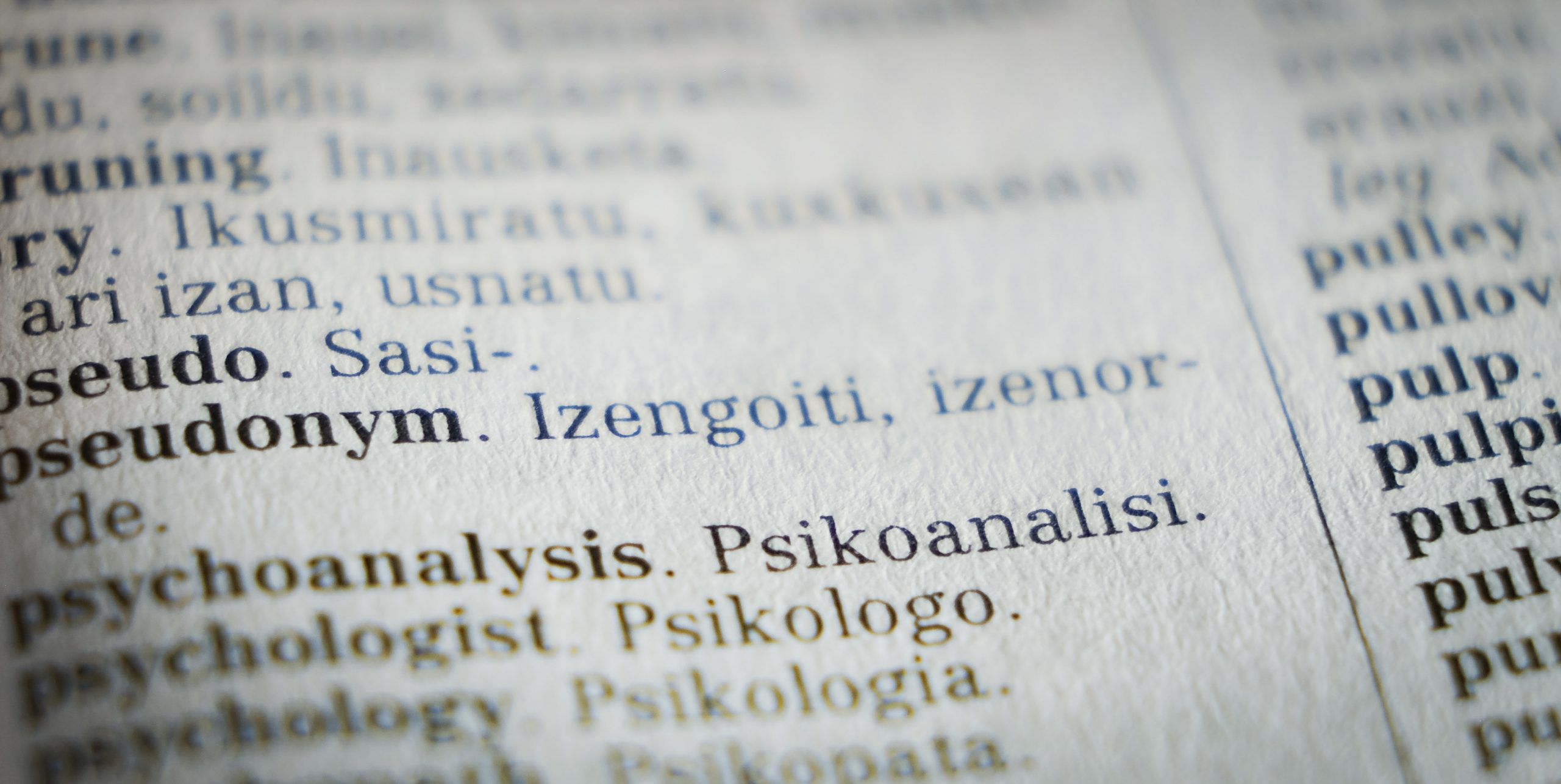 A close up of a foreign language dictionary